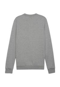 Bluza sportowa męska Puma B23617. Kolor: szary