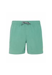 Spodenki kąpielowe dla dzieci Protest Culture. Kolor: wielokolorowy, zielony, brązowy #1