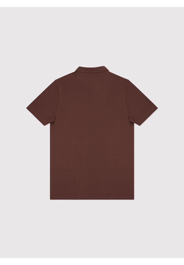 Pako Lorente - PAKO LORENTE – Męski t-shirt polo w kolorze brązowym. Okazja: na co dzień. Typ kołnierza: polo. Kolor: brązowy. Materiał: poliester, bawełna. Styl: casual