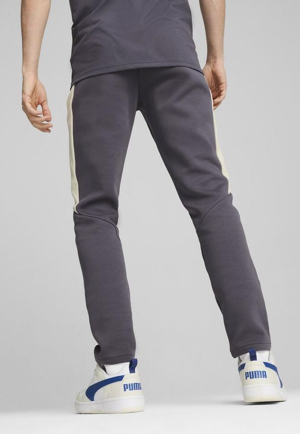 Puma - Męskie spodnie EVOSTRIPE PUMA Galactic Gray. Kolor: szary