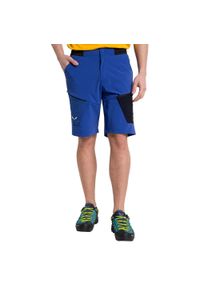 Spodenki turystyczne męskie Salewa Pedroc 3 DST M Cargo Shorts. Kolor: niebieski. Sport: turystyka piesza