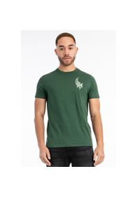 TAPOUT - T-shirt regularny Tapout Mask. Kolor: zielony #1