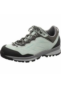 Buty trekkingowe damskie Lowa Delago Gtx Low. Kolor: wielokolorowy. Materiał: zamsz, tkanina. Szerokość cholewki: normalna #1