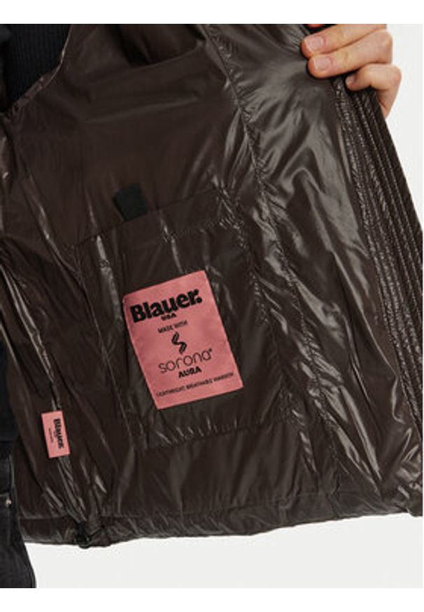 Blauer Kurtka zimowa 24WBLDC02290 Brązowy Regular Fit. Kolor: brązowy. Materiał: syntetyk. Sezon: zima