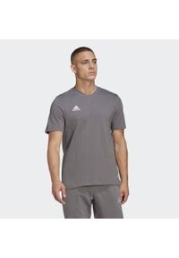 Adidas - Entrada 22 Tee. Kolor: szary. Sport: piłka nożna
