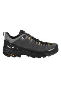 Buty Trekkingowe Męskie Salewa Alp Trainer 2 Gtx. Kolor: wielokolorowy, szary, czarny