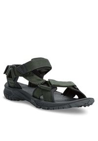 Jack Wolfskin Sandały Lakewood Ride Sandal M 4019021 Khaki. Kolor: brązowy. Materiał: materiał #4