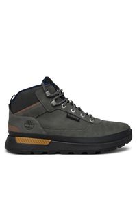 Trekkingi Timberland. Kolor: szary. Sport: turystyka piesza #1