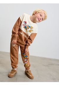 Sinsay - Spodnie jogger PAW Patrol - brązowy. Kolor: brązowy
