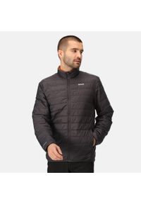 Regatta - Kurtka turystyczna przejściowa męska Hillpack pikowana. Kolor: szary, fioletowy, wielokolorowy. Materiał: poliamid. Sport: turystyka piesza #1