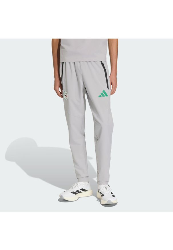 Adidas - Spodnie Algeria Tiro Tech. Kolor: szary. Sport: piłka nożna