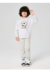 Sinsay - Ocieplane spodnie jogger - szary. Kolor: szary