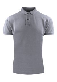 Koszulka Polo, Męska - Adriano Guinari - Kolor Szary. Typ kołnierza: polo. Kolor: szary. Materiał: bawełna. Styl: klasyczny