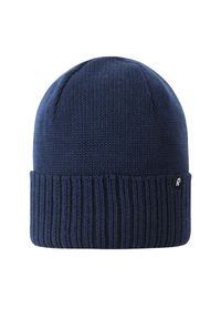 Czapka Reima. Kolor: niebieski #1