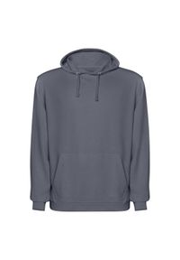 ROLY - Bluza Z Kapturem Unisex Dla Dorosłych Kenia. Typ kołnierza: kaptur. Kolor: szary