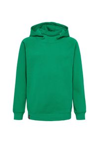 Bluza z kapturem dla dzieci Hummel Red Classic. Typ kołnierza: kaptur. Kolor: zielony