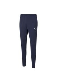 Spodnie fitness męskie Puma teamRISE Poly Training. Kolor: niebieski. Materiał: poliester. Sport: fitness #1