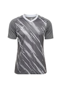 Koszulka Hummel Triumph. Kolor: szary. Sport: piłka nożna #1