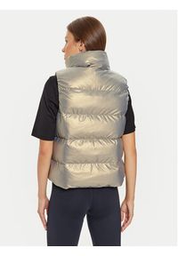 Helly Hansen Bezrękawnik Jade 53296 Złoty Regular Fit. Kolor: złoty. Materiał: syntetyk. Długość rękawa: bez rękawów #6