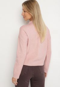 Born2be - Różowy Gładki Sweter o Pudełkowym Kroju ze Stójką Unessa. Okazja: na co dzień. Typ kołnierza: kołnierzyk stójkowy. Kolor: różowy. Materiał: jeans. Wzór: gładki. Styl: casual #6