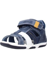 Geox - Sandały GEOX B SANDAL TAPUZ BOY A Niebieski. Kolor: niebieski. Materiał: skóra. Sezon: lato