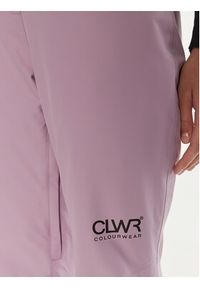 Colourwear Spodnie narciarskie Cork Pant 7010322 Różowy Regular Fit. Kolor: różowy. Materiał: syntetyk. Sport: narciarstwo #2