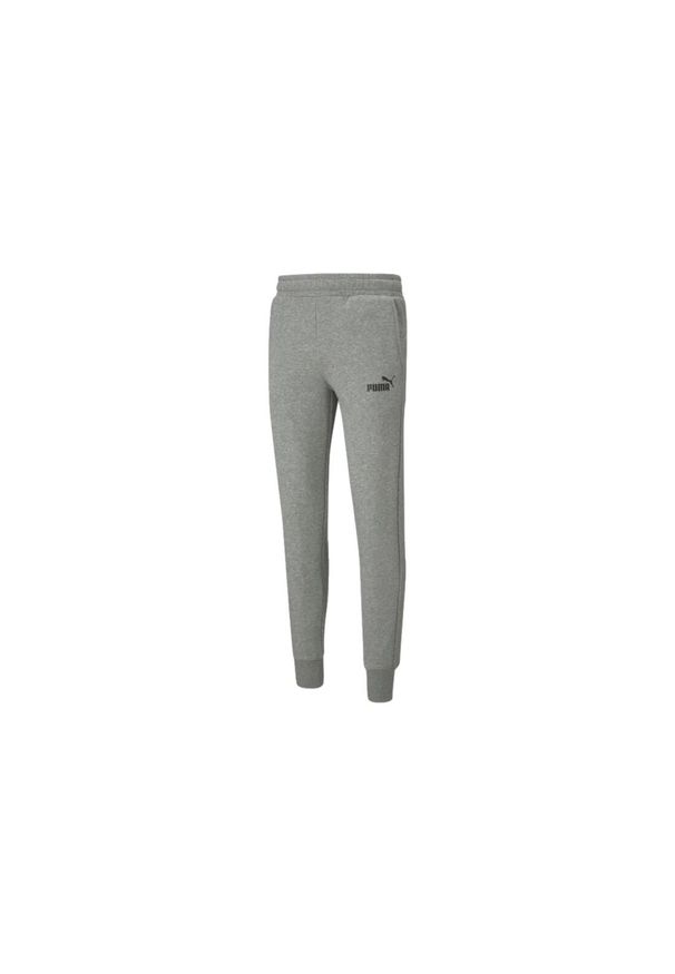 Spodnie Puma Essentials Slim, Mężczyźni. Kolor: szary. Materiał: bawełna