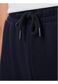 Fila Spodnie dresowe FAM0647 Granatowy Regular Fit. Kolor: niebieski. Materiał: bawełna