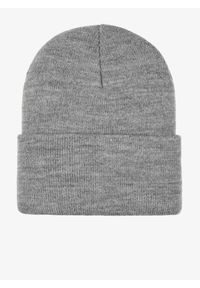 Czapka zimowa Carhartt Acrylic Watch Hat. Kolor: szary. Sezon: zima. Styl: sportowy