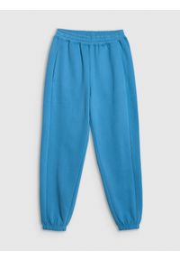 4f - 4F Spodnie dresowe joggery damskie - niebieskie XXL. Kolor: niebieski. Materiał: dresówka #1