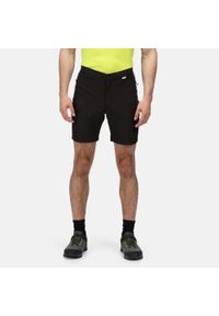 Regatta - Spodenki Mountain Shorts II. Kolor: wielokolorowy, czarny. Materiał: materiał
