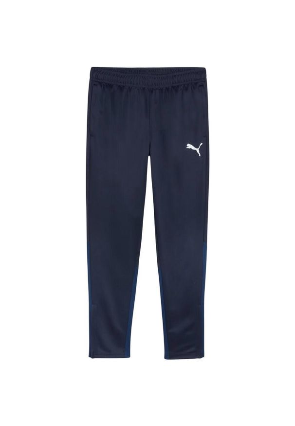 Puma - Męskie Treningowe Spodnie Do Biegania Team Goal. Kolor: niebieski. Materiał: dresówka