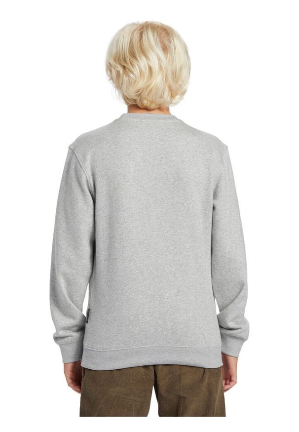 Quiksilver - Bluza z kapturem dla Chłopcy GRAPHIC Szary. Okazja: na co dzień. Typ kołnierza: kaptur. Kolor: szary. Materiał: materiał, poliester, bawełna. Styl: casual