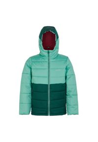 Regatta - Ocieplana Kurtka Dziecięca Lofthouse VIII. Kolor: niebieski, wielokolorowy, zielony #1