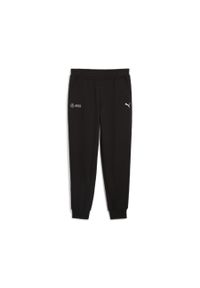 Puma Spodnie Mapf1 Ess 62734601. Kolor: czarny