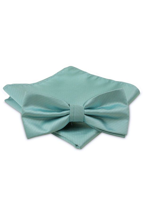 Zielona muszka Alties elegancka