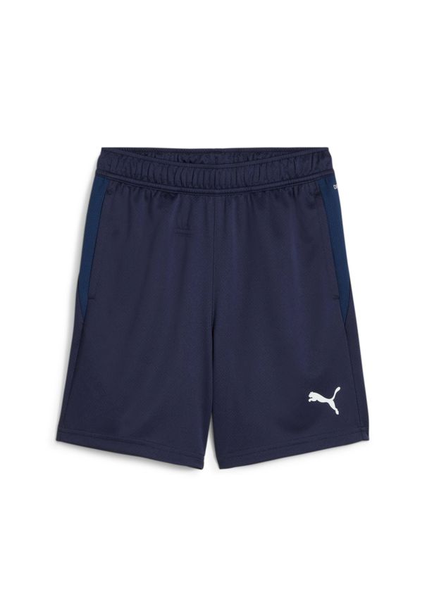 Szorty dla dzieci Puma TeamGOAL. Kolor: niebieski. Styl: sportowy