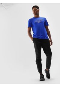 4f - T-shirt regular z nadrukiem męski - chabrowy. Kolor: niebieski. Materiał: bawełna. Wzór: nadruk