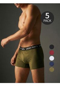 Sinsay - Bawełniane bokserki long 5 pack - wielobarwny. Materiał: bawełna #1