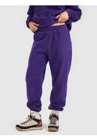 4f - 4F Spodnie dresowe polarowe damskie - fioletowe L. Kolor: fioletowy. Materiał: polar, dresówka. Sport: turystyka piesza #2