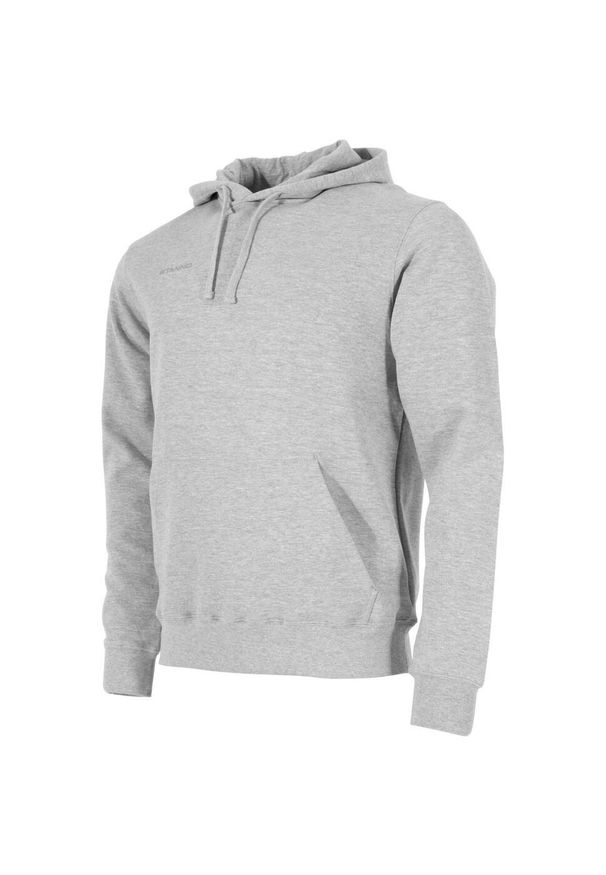 STANNO - Bluza z kapturem dla dzieci Stanno Base. Typ kołnierza: kaptur. Kolor: szary