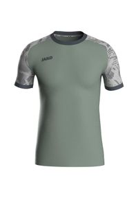 Jersey Jako Iconic. Kolor: wielokolorowy, szary, zielony. Materiał: jersey. Sport: piłka nożna, fitness #1