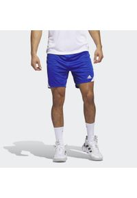 Adidas - Icon Squad Shorts. Kolor: biały, wielokolorowy, niebieski. Materiał: materiał. Sport: fitness