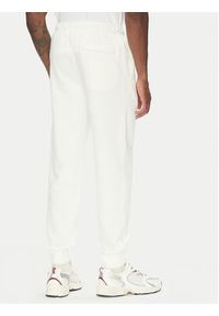 Nike Spodnie dresowe FN3801 Écru Regular Fit. Materiał: bawełna