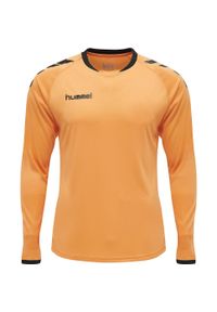 Strój bramkarski męski Hummel hml CORE. Kolor: czarny, wielokolorowy, pomarańczowy. Sport: piłka nożna, fitness #2