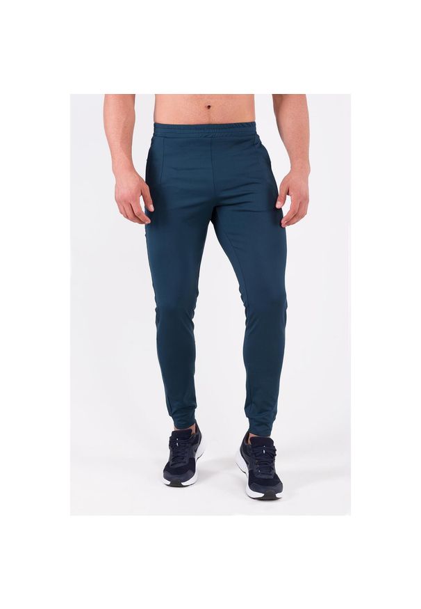 ROUGH RADICAL - Spodnie fitness męskie Rough Radical Rival. Kolor: zielony, niebieski. Materiał: dresówka. Sport: fitness