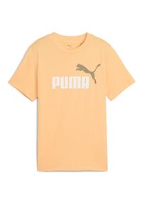Koszulka Puma Ess 2 Color No.1 Logo Tee B, Dzieci. Kolor: pomarańczowy. Materiał: bawełna, materiał