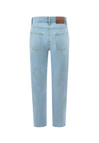 LEBRAND - Błękitne jeansy Ross. Stan: podwyższony. Kolor: niebieski. Wzór: aplikacja #6