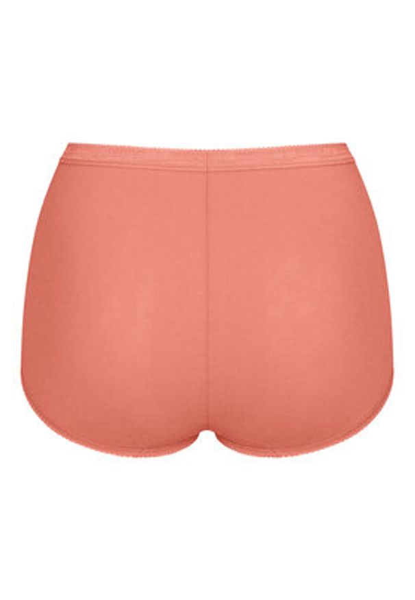 Sloggi Komplet fig Basic 10103326 Kolorowy. Materiał: bawełna. Wzór: kolorowy