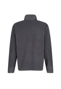 Regatta - Bluza Męska 170 Antipill Zip Neck Micro Fleece. Kolor: niebieski. Sezon: zima. Styl: sportowy. Sport: turystyka piesza